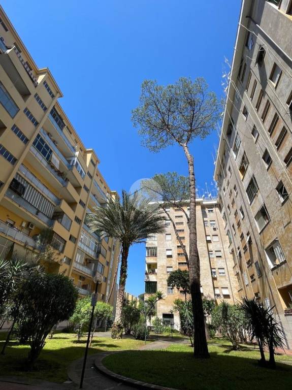 appartamento in vendita a Roma in zona Don Bosco
