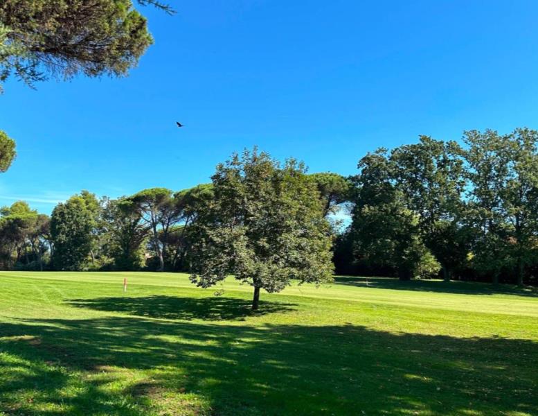 casa indipendente in vendita a Roma in zona Olgiata