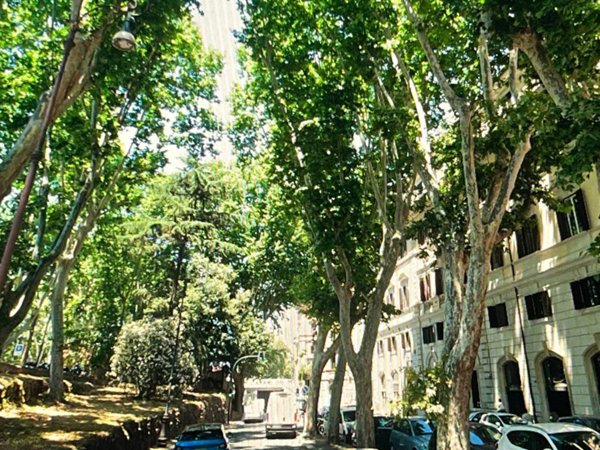 appartamento in vendita a Roma in zona Campo Marzio