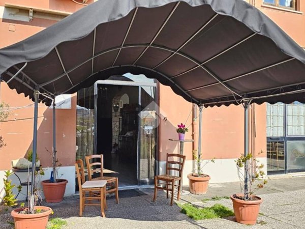 negozio in vendita a Roma in zona Tor Vergata/Torrenova