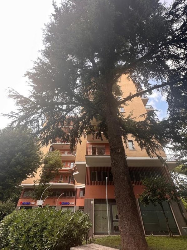 appartamento in vendita a Roma in zona Monte Sacro/Talenti