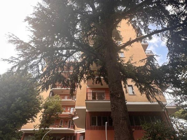 appartamento in vendita a Roma in zona Monte Sacro/Talenti