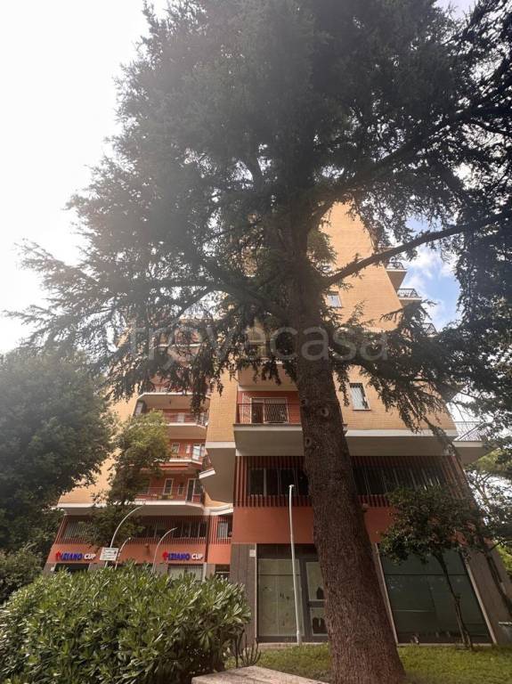 appartamento in vendita a Roma in zona Monte Sacro/Talenti