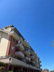 appartamento in vendita a Roma in zona Mezzocammino