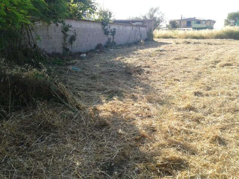 terreno agricolo in vendita a Roma in zona Casal Palocco