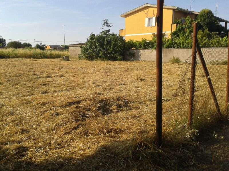terreno agricolo in vendita a Roma in zona Casal Palocco