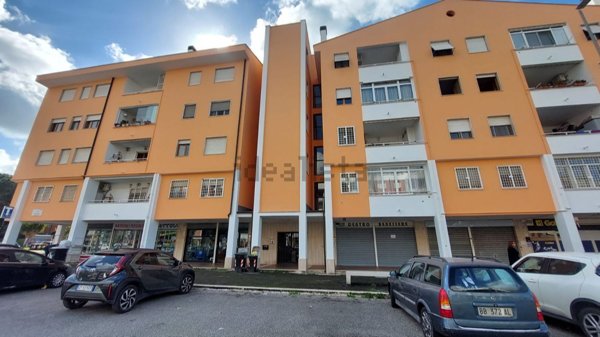 appartamento in vendita a Roma in zona Selva Candida