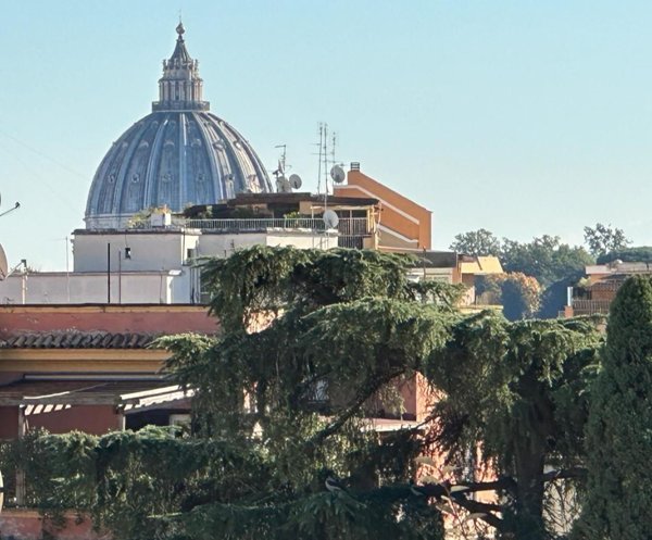 appartamento in vendita a Roma in zona Centro Storico