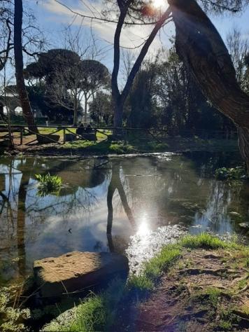 appartamento in vendita a Roma in zona Appio Claudio