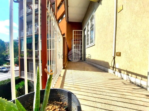 appartamento in vendita a Roma in zona Monte Sacro/Talenti