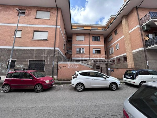 immagine annuncio 0 di 15