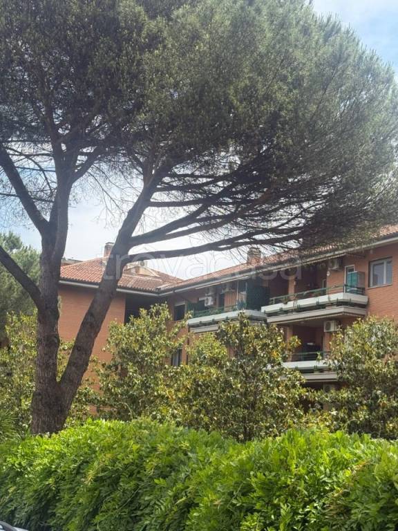 appartamento in vendita a Roma in zona Tomba di Nerone