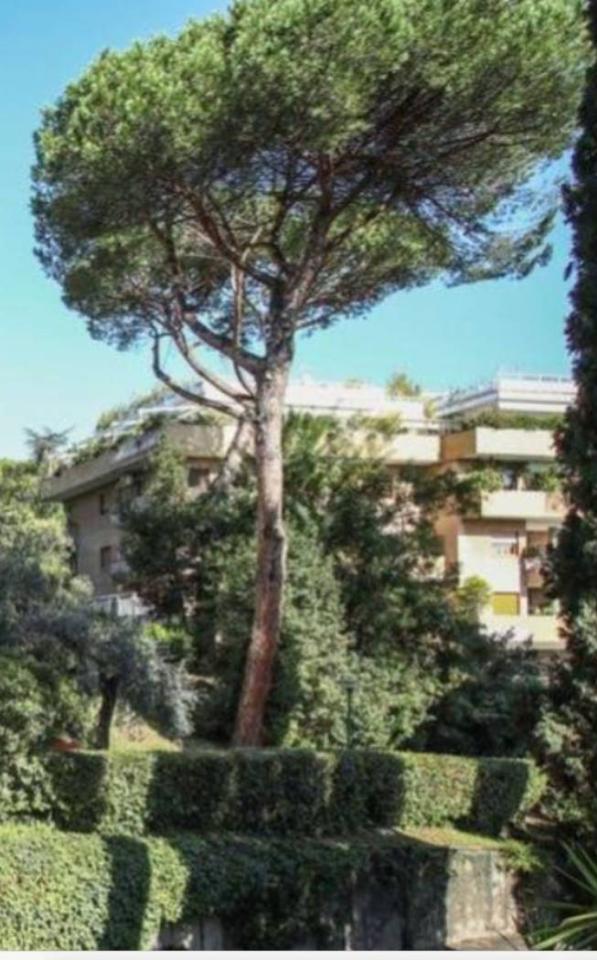 casa indipendente in vendita a Roma in zona Della Vittoria