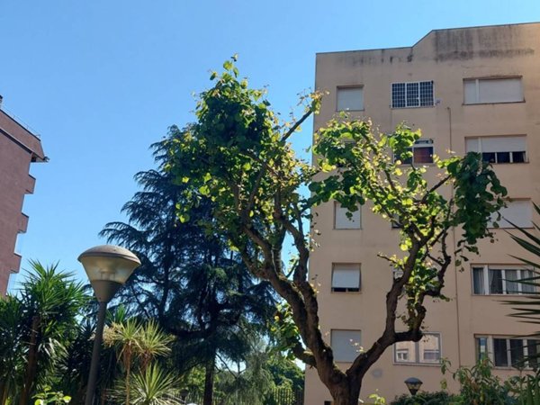 appartamento in vendita a Roma in zona Giuliano Dalmata