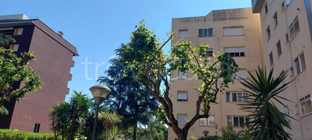 appartamento in vendita a Roma in zona Ardeatino