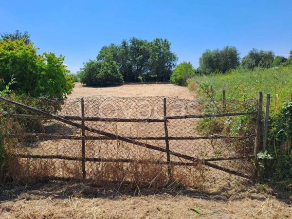 terreno agricolo in vendita a Roma in zona Osteria Nuova