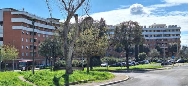 appartamento in vendita a Roma in zona Casal Monastero