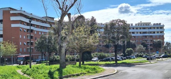 appartamento in vendita a Roma in zona Casal Monastero