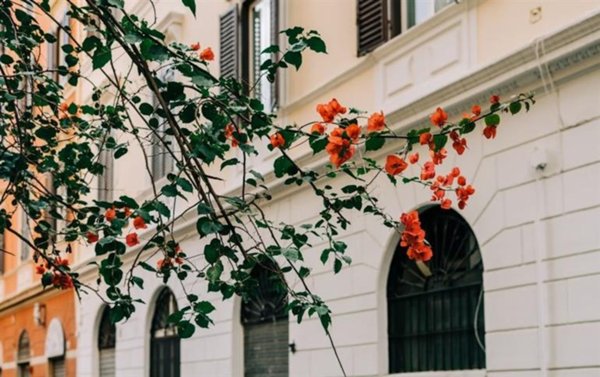 appartamento in vendita a Roma in zona Parione/Sant'Eustachio
