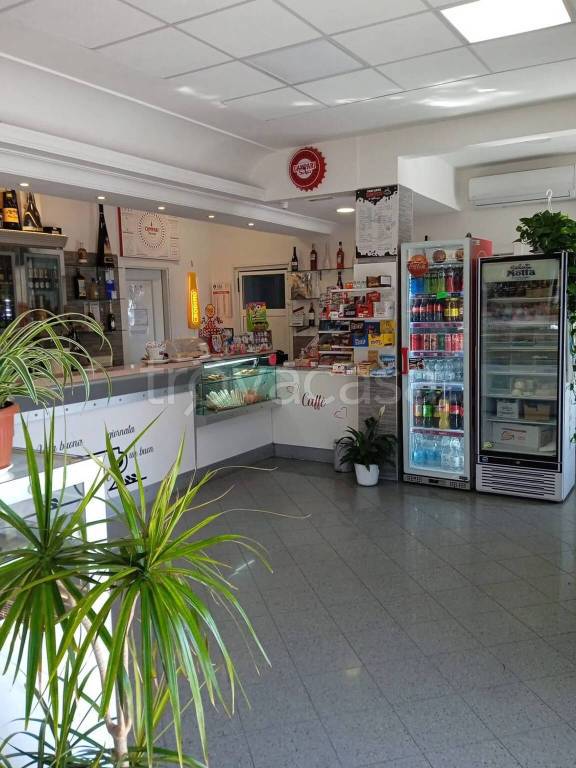 appartamento in vendita a Roma in zona Cesano