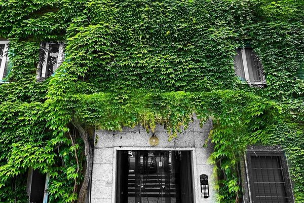 appartamento in vendita a Roma in zona Trionfale