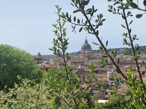 appartamento in vendita a Roma in zona Rione Prati