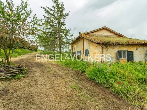 terreno agricolo in vendita a Roma in zona Castel di Leva