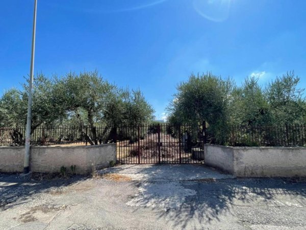 terreno agricolo in vendita a Roma in zona Tor Cervara