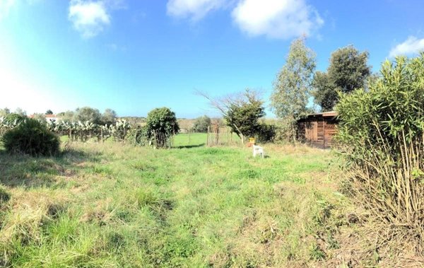 terreno agricolo in vendita a Roma in zona Infernetto