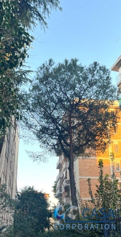 appartamento in vendita a Roma in zona Cinecittà