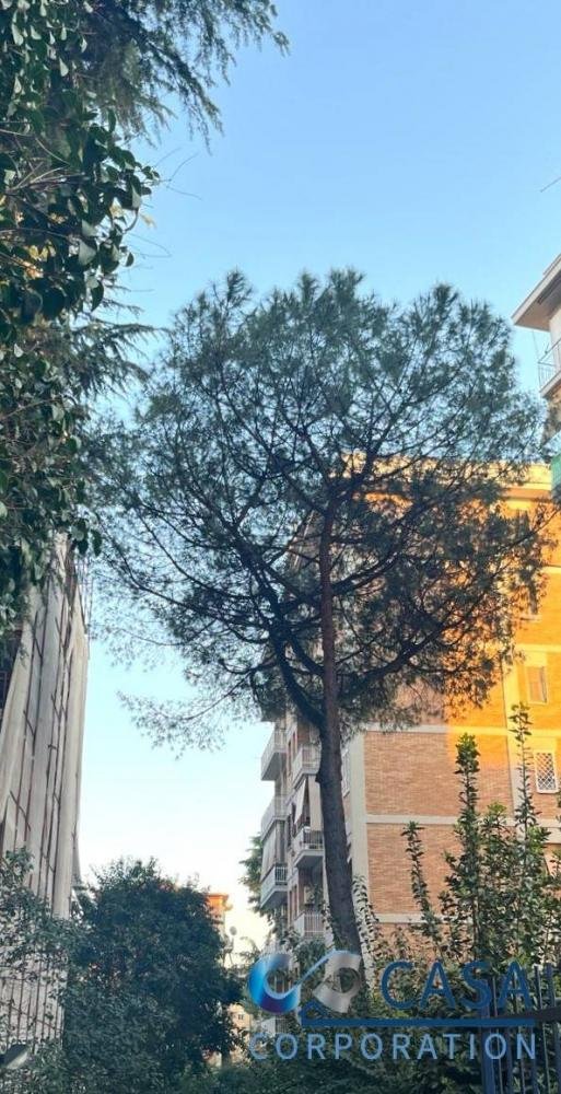 appartamento in vendita a Roma in zona Don Bosco