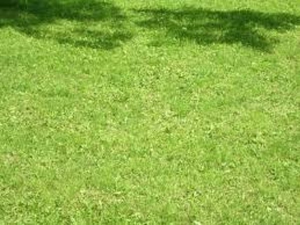 terreno edificabile in vendita a Roma in zona Fosso di San Giuliano