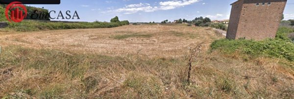 terreno agricolo in vendita a Roma in zona Massimina/Casal Lumbroso