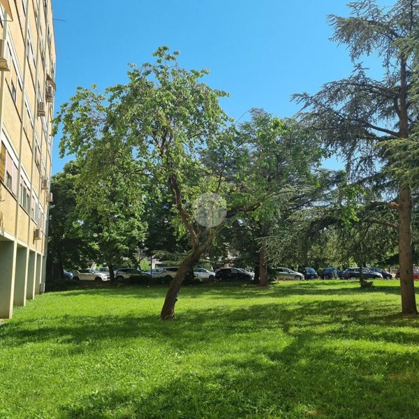 appartamento in vendita a Roma in zona Parioli