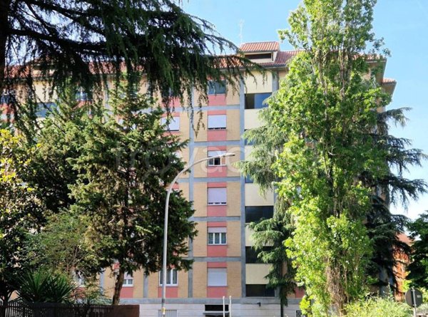 immagine annuncio 0 di 15