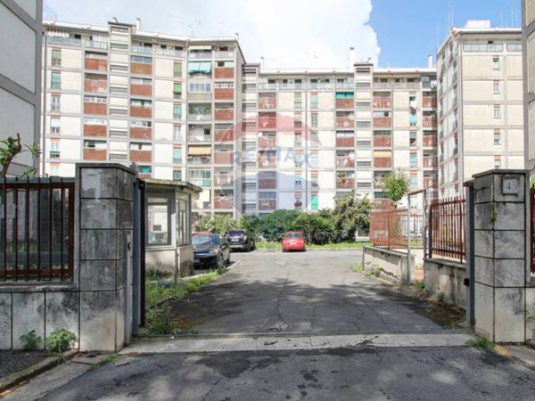 appartamento in vendita a Roma in zona Monte Sacro/Talenti