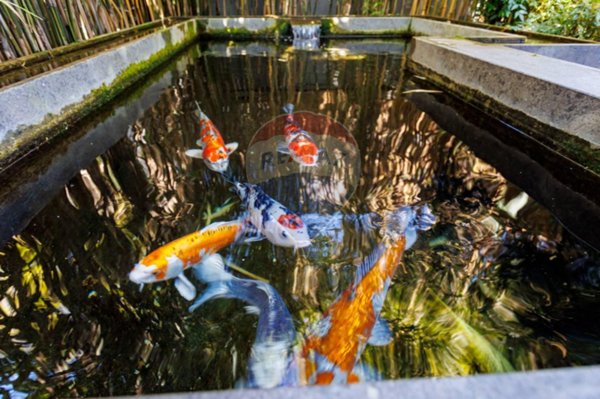 casa indipendente in vendita a Roma in zona Della Vittoria