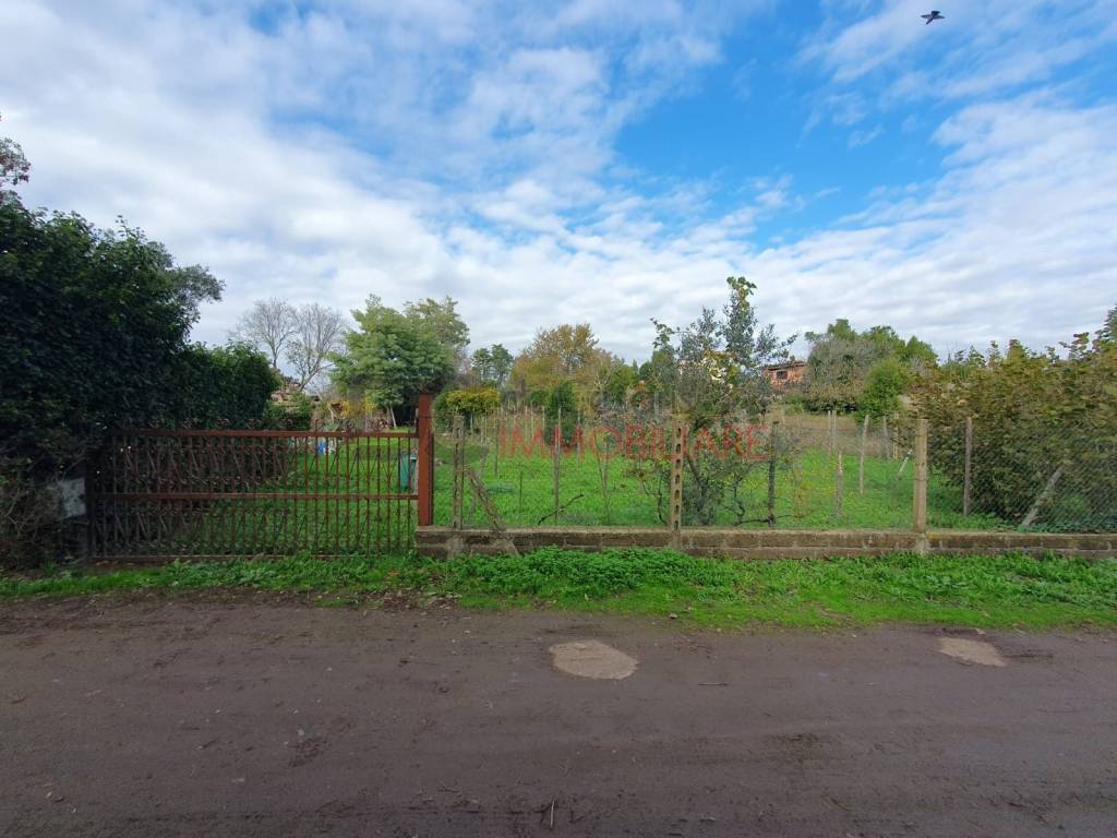 terreno agricolo in vendita a Roma in zona Trigoria