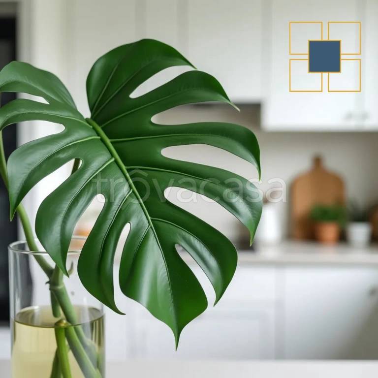 appartamento in vendita a Roma in zona Tuscolano