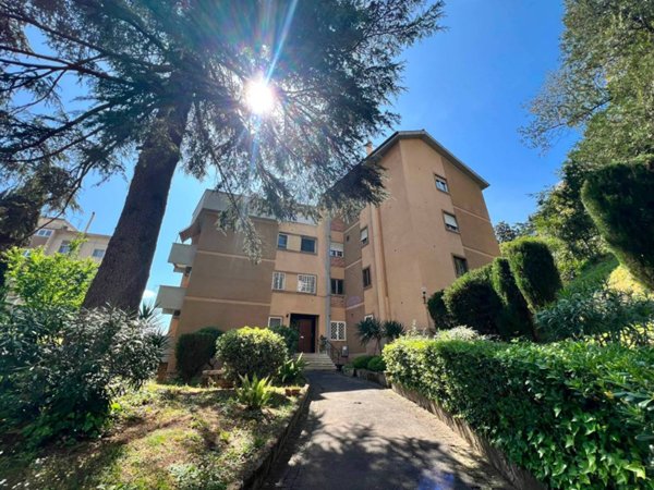appartamento in vendita a Roma in zona Monte Sacro/Talenti