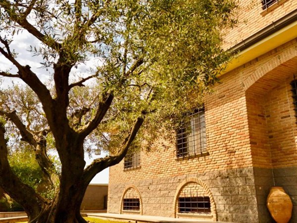 casa indipendente in vendita a Roma in zona Dragona/Bagnoletto