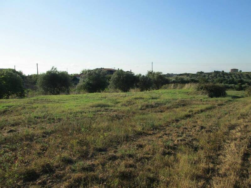 terreno agricolo in vendita a Roma