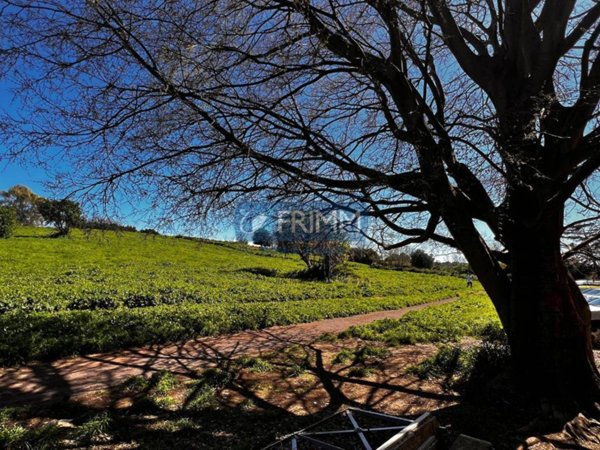 appartamento in vendita a Roma in zona Appio Latino