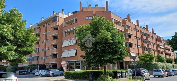 appartamento in vendita a Roma in zona Tor Vergata/Torrenova