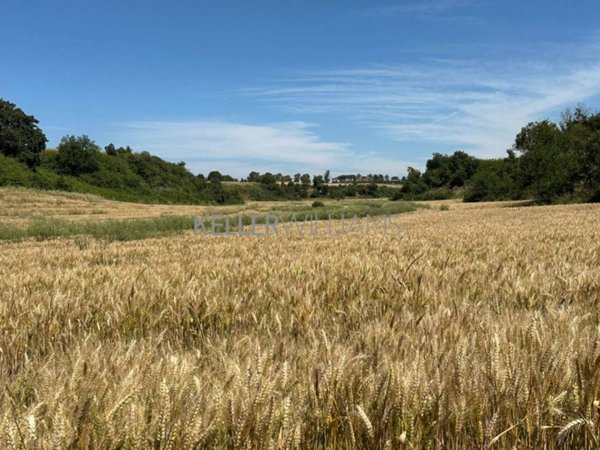 terreno agricolo in vendita a Roma in zona Pantan Monastero