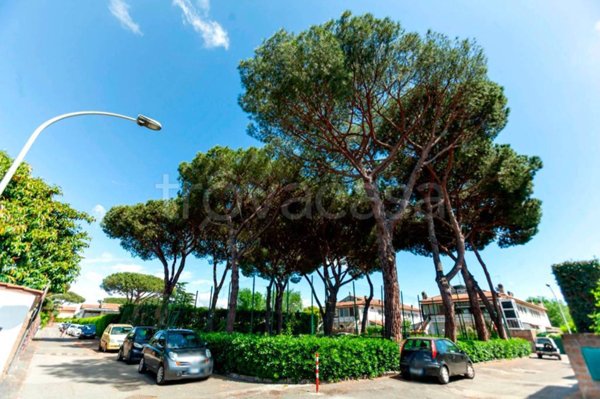 appartamento in vendita a Roma in zona Casal Palocco