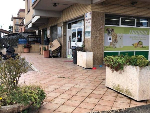 negozio in vendita a Roma in zona Massimina/Casal Lumbroso