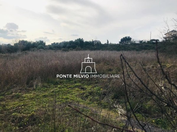 terreno agricolo in vendita a Roma in zona Olgiata