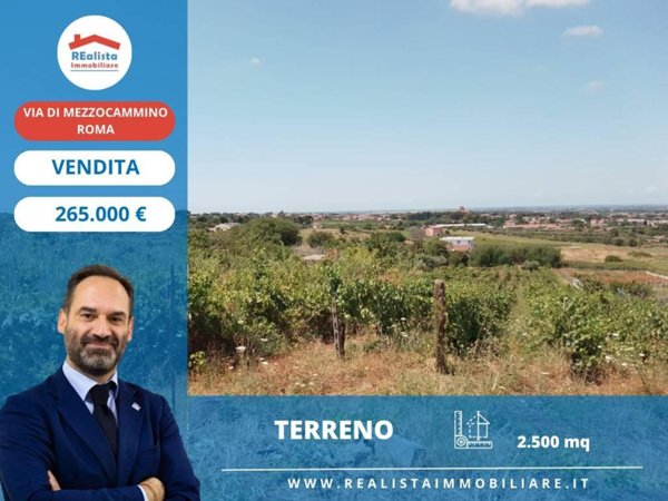 terreno agricolo in vendita a Roma in zona Spinaceto