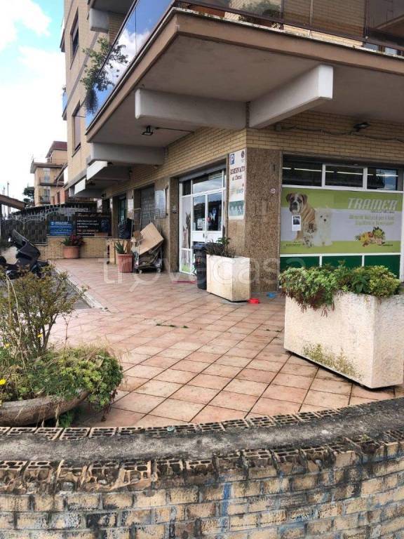 casale in vendita a Roma in zona Massimina/Casal Lumbroso